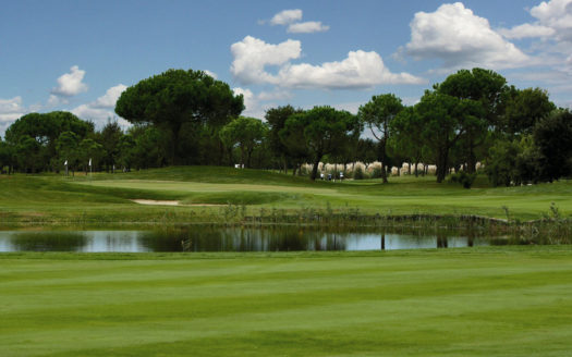 Golf Club - Lake